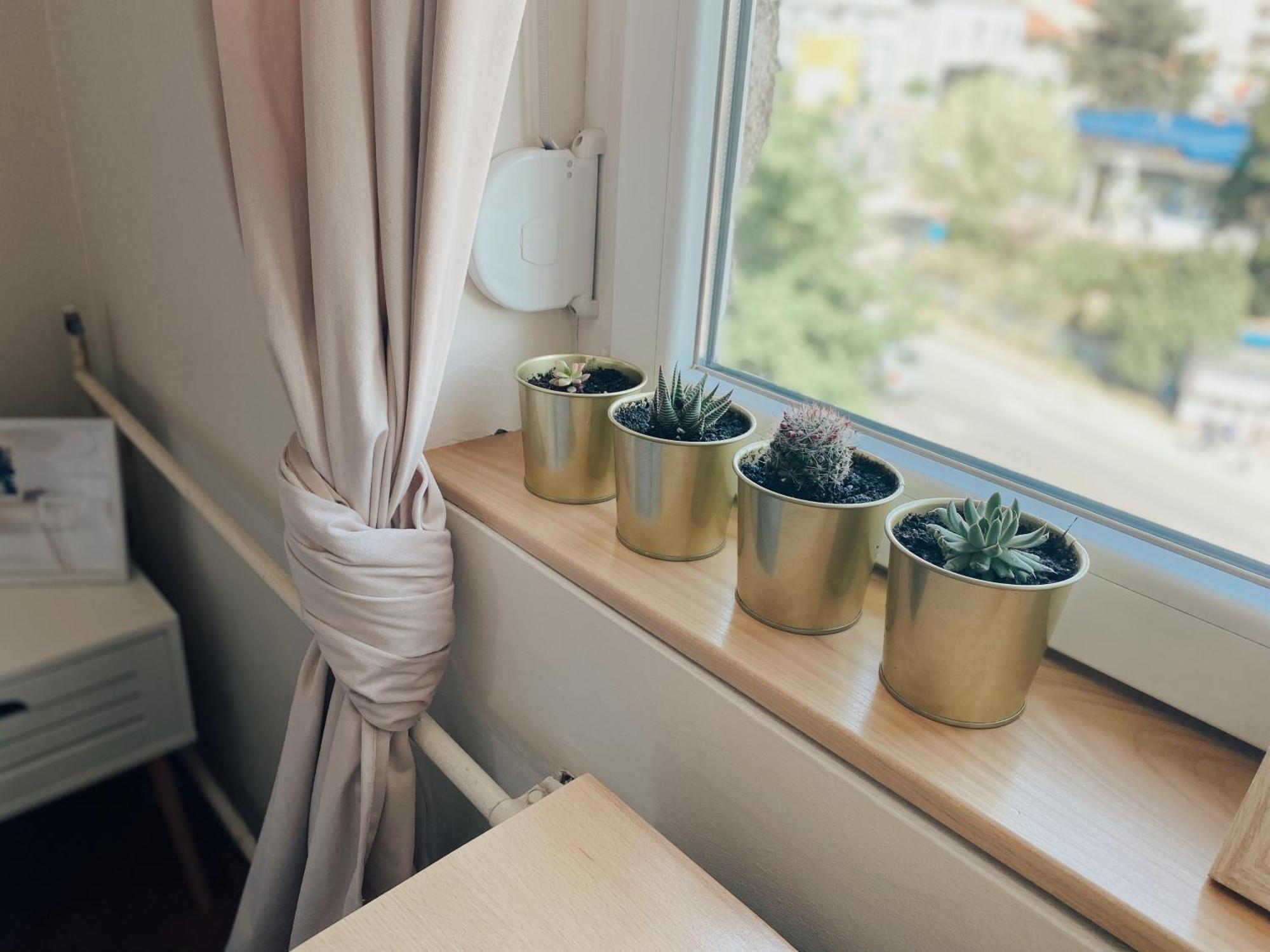 Apartment Cozy Trg Lazarevac